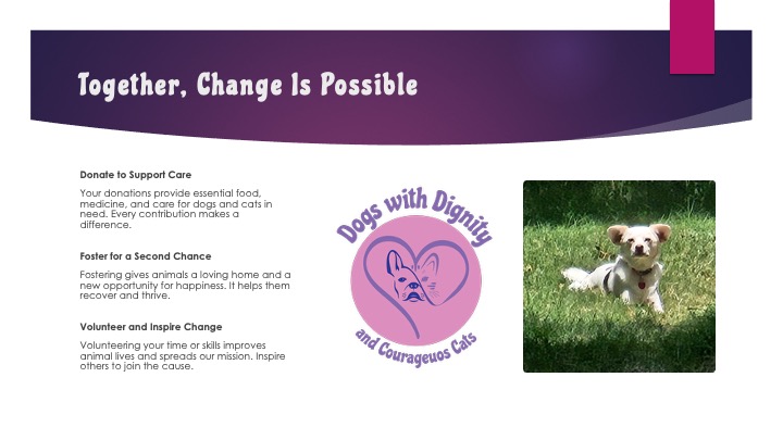 Call to Action – Donation, fostering, and volunteer opportunities presented clearly.